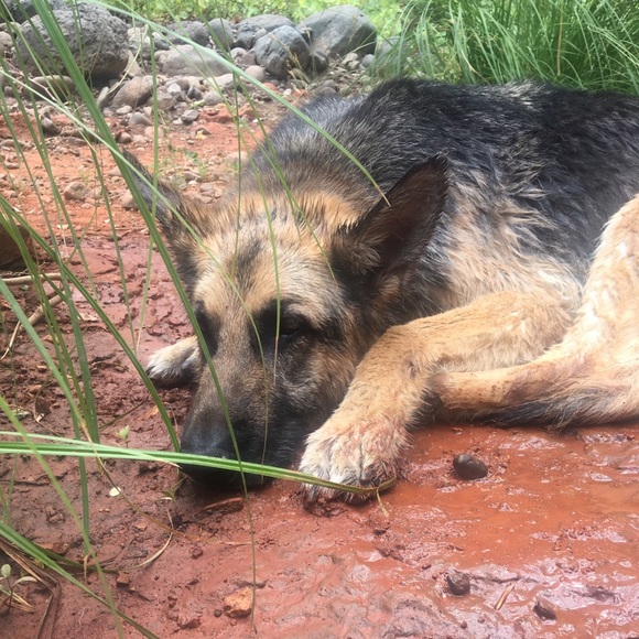 Meet your Posher, Karen - Picture 4 of 5